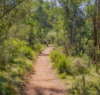 Mares Forest Creek walking track - Getaway Accommodation