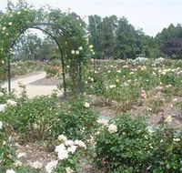 Victoria Park Rose Garden - Getaway Accommodation