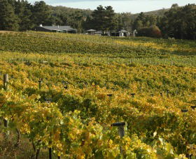 Lark Hill Biodynamic Winery - Getaway Accommodation 2