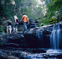 South Lawson Waterfall Circuit - Getaway Accommodation