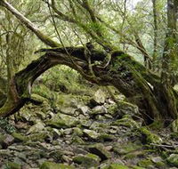 Mitchell River National Park - Getaway Accommodation