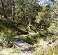 Wollomombi walking track - Getaway Accommodation