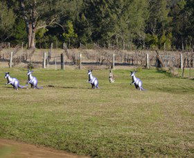 Wollombi Wines - Getaway Accommodation 5