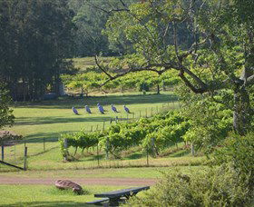 Wollombi Wines - Getaway Accommodation 8