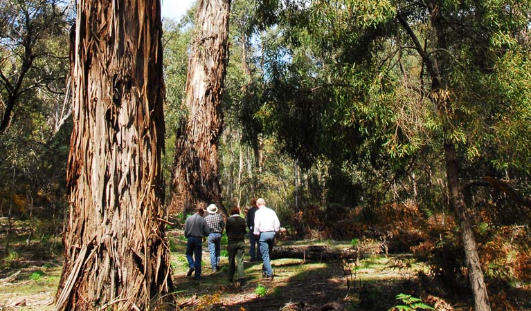Bombay NSW Getaway Accommodation