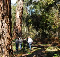 Tallaganda National Park - Getaway Accommodation