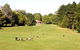 Moss Vale Golf Club - thumb 2