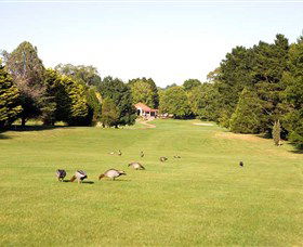 Moss Vale Golf Club - Getaway Accommodation 2