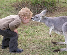 Hunter Valley Zoo - Getaway Accommodation 3