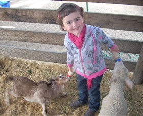 Hunter Valley Zoo - Getaway Accommodation 4