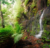 Fairy Bower Falls - Getaway Accommodation