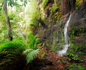 Fairy Bower Falls - Getaway Accommodation 0