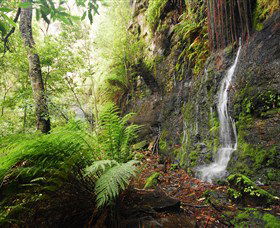 Fairy Bower Falls - Getaway Accommodation 2