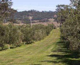 Bunna Bunoo Olive Grove - Getaway Accommodation 1