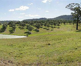 Bunna Bunoo Olive Grove - Getaway Accommodation 5