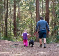 Olney State Forest - Watagan Mountains - Getaway Accommodation