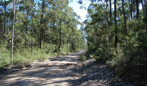 Werakata National Park - Getaway Accommodation 2