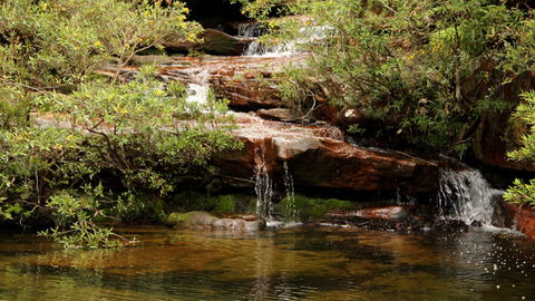 Popran National Park - Getaway Accommodation 2