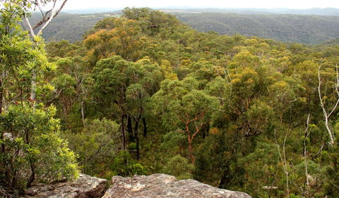 Mount Olive Lookout - Getaway Accommodation 0