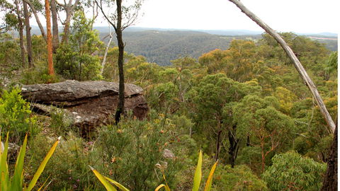 Mount Olive Lookout - Getaway Accommodation 2