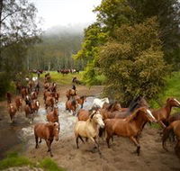 Glenworth Valley Horse Riding - Getaway Accommodation
