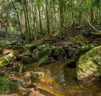 Palm Grove Nature Reserve - Getaway Accommodation