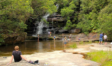 Somersby Falls Picnic Area - Getaway Accommodation 0
