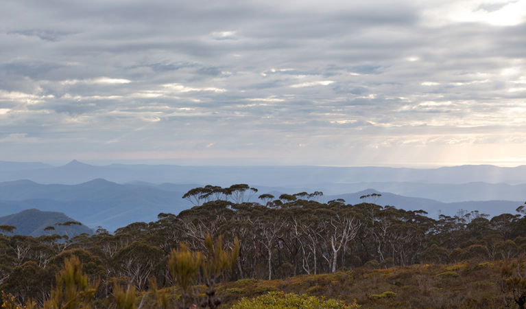 Budawang NSW Getaway Accommodation