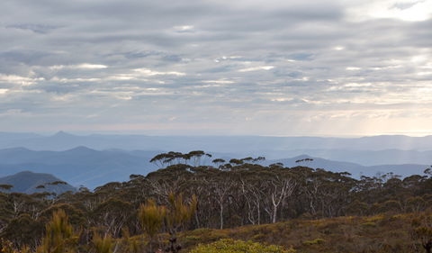 Mount Budawang Trail - Getaway Accommodation 0