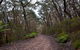 Mount Budawang Trail - thumb 1