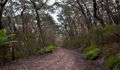 Mount Budawang Trail - Getaway Accommodation 1