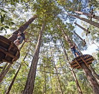 TreeTop Adventure Park Central Coast - Getaway Accommodation