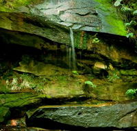 Strickland State Forest - Getaway Accommodation