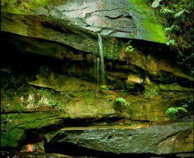 Strickland State Forest - Getaway Accommodation 0