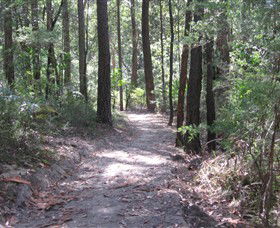 Strickland State Forest - Getaway Accommodation 2