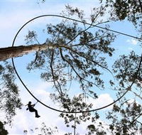 TreeTops Crazy Rider - Getaway Accommodation