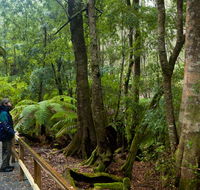 Monga National Park - Getaway Accommodation