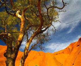 The Artery Aboriginal Art - Getaway Accommodation 2
