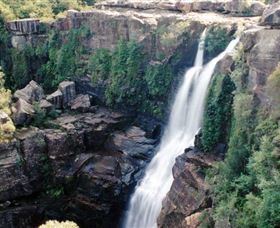 Minnamurra Rainforest Centre: Budderoo National Park - Getaway Accommodation 0