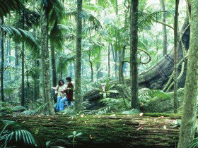 Illinbah Circuit - Getaway Accommodation 0