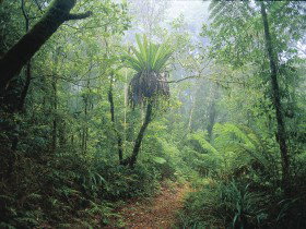 Wagawn - Getaway Accommodation 0