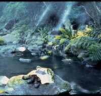 Coomera circuit - Getaway Accommodation