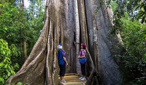 Wingham Brush Nature Reserve - Getaway Accommodation 1