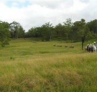 Numinbah Valley Adventure Trails - Getaway Accommodation