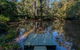 Brimbin Nature Reserve - thumb 0