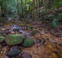Starrs Creek picnic area - Getaway Accommodation