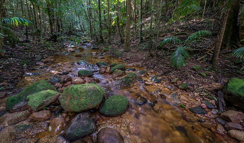Starrs Creek Picnic Area - Getaway Accommodation 0