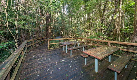 Starrs Creek Picnic Area - Getaway Accommodation 1