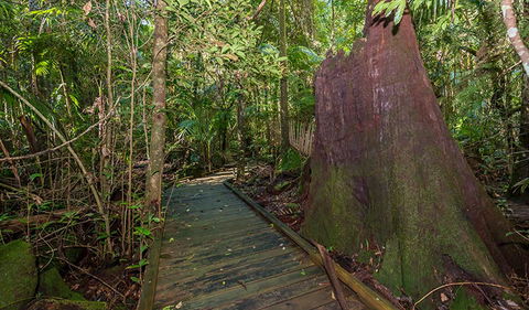 Starrs Creek Picnic Area - Getaway Accommodation 2