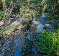 Dawson River walking track - Getaway Accommodation